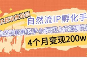 某社群收費培訓：自然流IP 孵化手-14天線上實操訓練營 4個月變現(xiàn)200w