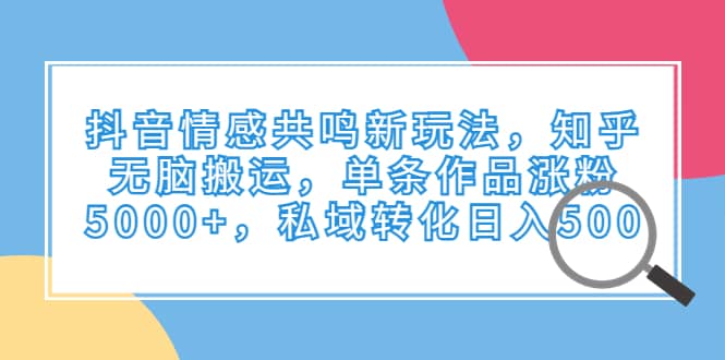抖音情感共鳴新玩法，知乎無腦搬運，單條作品漲粉5000 ，私域轉化日入500插圖
