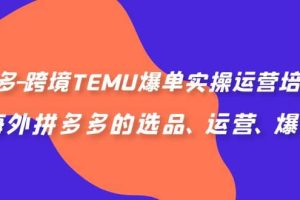 拼多多-跨境TEMU爆單實操運營培訓班，海外拼多多的選品、運營、爆單