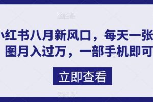 八月新風口，小紅書虛擬項目一天收入1000 ，實戰揭秘