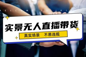 日入500 的實景無人直播帶貨最新玩法