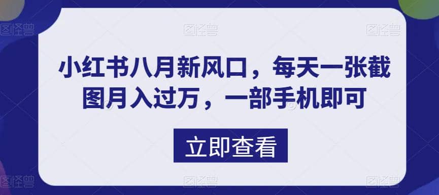 八月新風口，小紅書虛擬項目一天收入1000 ，實戰揭秘插圖