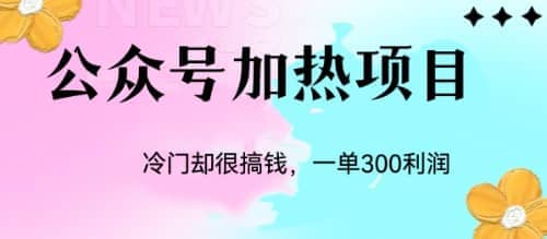 冷門公眾號加熱項目，一單利潤300插圖