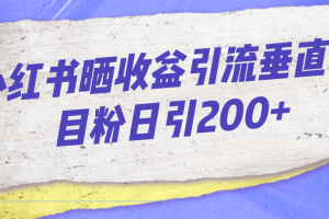 小紅書曬收益圖引流垂直項(xiàng)目粉日引200