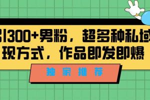 獨家推薦！日引300 男粉，超多種私域變現方式，作品即發即報