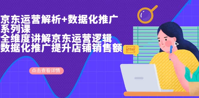 京東運營解析與數(shù)據(jù)化推廣系列課，全維度講解京東運營邏輯 數(shù)據(jù)化推廣提升店鋪銷售額插圖