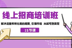 線上·招商培訓(xùn)班，解決流量和轉(zhuǎn)化難的難題 引爆市場 從起號到變現(xiàn)（15節(jié)）