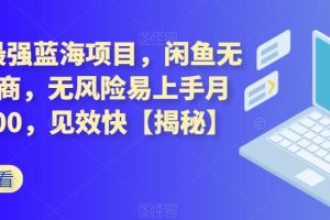 2023最強(qiáng)藍(lán)海項(xiàng)目，閑魚(yú)無(wú)貨源電商，無(wú)風(fēng)險(xiǎn)易上手月賺10000，見(jiàn)效快【揭秘】