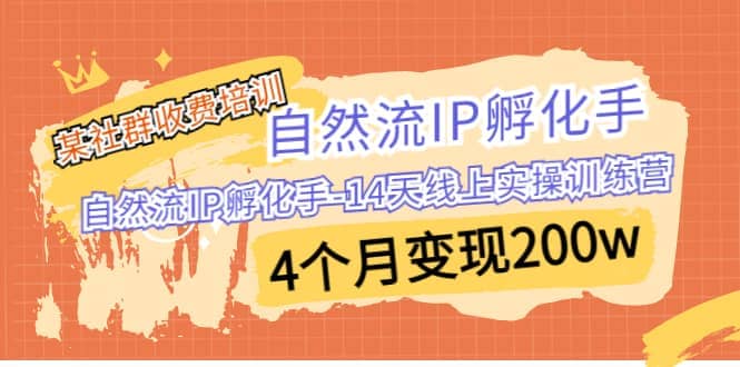 某社群收費培訓：自然流IP 孵化手-14天線上實操訓練營 4個月變現(xiàn)200w插圖