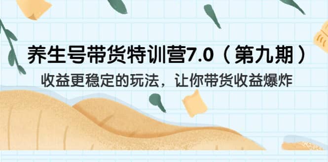 養生號帶貨特訓營7.0（第九期）收益更穩定的玩法 讓你帶貨收益爆炸（11節）插圖
