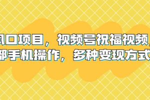 新風(fēng)口項目，視頻號祝福視頻，一部手機操作，多種變現(xiàn)方式