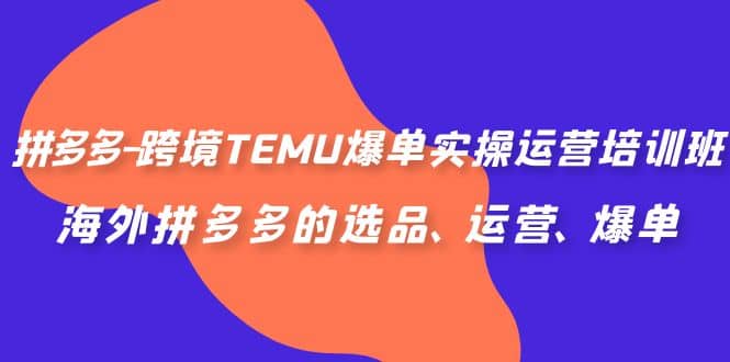 拼多多-跨境TEMU爆單實操運營培訓班，海外拼多多的選品、運營、爆單插圖