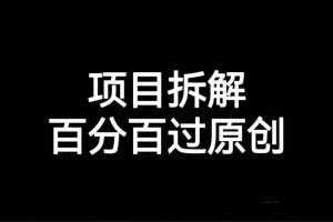 項目拆解百分百過原創，解決項目拆解賽道難過原創的問題