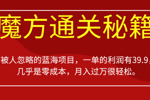 被人忽略的藍海項目，魔方通關秘籍一單利潤有39.9，幾乎是零成本