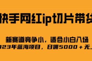 快手網紅ip切片新賽道，競爭小事，適合小白 2023藍海項目