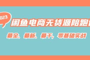 閑魚電商無貨源陪跑課，最全、最新、最干，零基礎實戰！