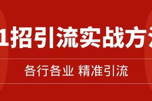 精準引流術：11招引流實戰方法，讓你私域流量加到爆（11節課完整版）