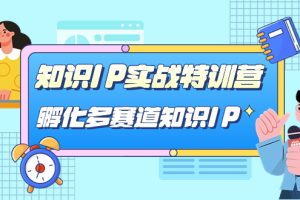 知識(shí)IP實(shí)戰(zhàn)特訓(xùn)營，孵化-多賽道知識(shí)IP（33節(jié)課）
