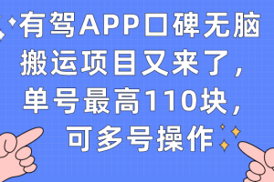 有駕APP口碑無腦搬運項目又來了，單號最高110塊，可多號操作