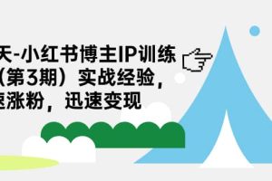 28天-小紅書博主IP訓練營（第3期）實戰經驗，快速漲粉，迅速變現