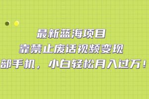 最新藍海項目，靠禁止廢話視頻變現(xiàn)，一部手機，小白輕松月入過萬！