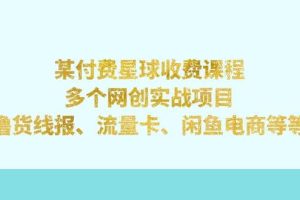 某付費星球課程：多個網創實戰項目，擼貨線報、流量卡、閑魚電商等等