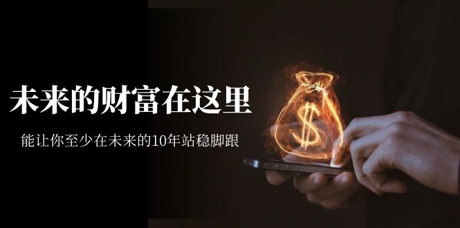 某收費文章《未來的財富在這里》能讓你至少在未來的10年站穩腳跟插圖