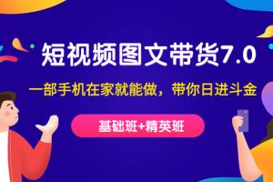 短視頻-圖文帶貨7.0（基礎班 精英班）一部手機在家就能做，帶你日進斗金