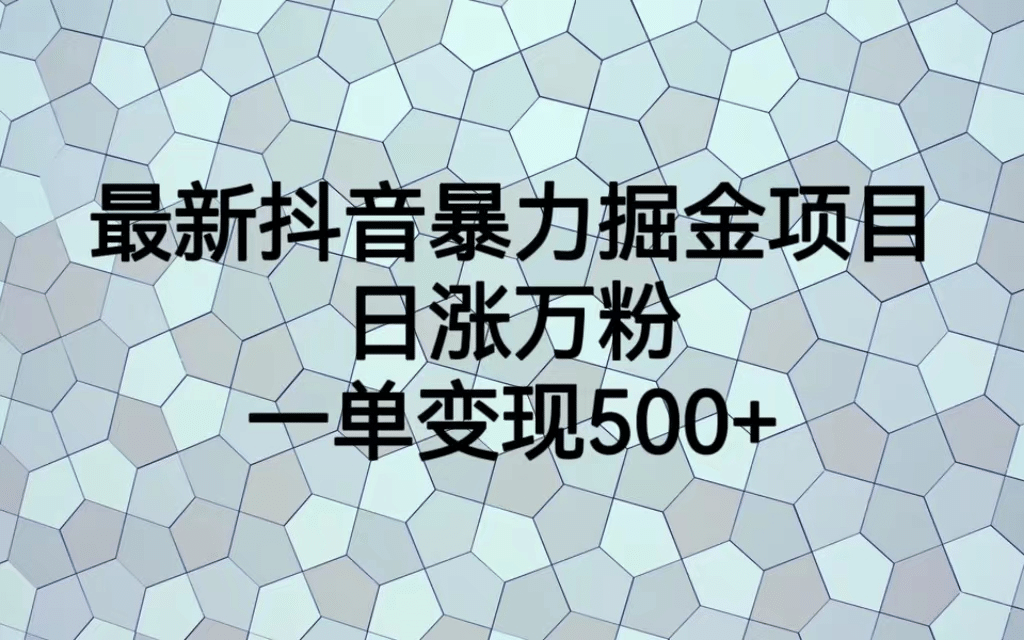 最火熱的抖音暴力掘金項目，日漲萬粉，多種變現方式，一單變現可達500插圖