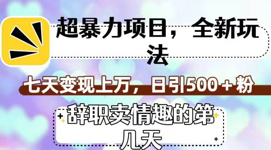 超暴利項目，全新玩法（辭職賣情趣的第幾天），七天變現上萬，日引500 粉插圖