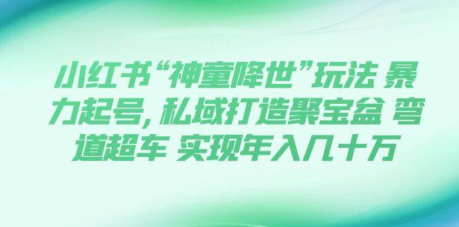 小紅書“神童降世”玩法 暴力起號,私域打造聚寶盆 彎道超車 實現年入幾十萬插圖