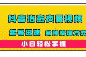 抖音治愈系夜景視頻，起號迅速，多種變現方式，小白輕松掌握（附120G素材）