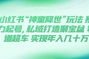 小紅書“神童降世”玩法 暴力起號,私域打造聚寶盆 彎道超車 實現年入幾十萬