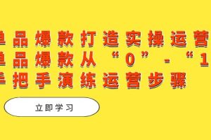 單品爆款打造實操運營，單品爆款從“0”-“1”手把手演練運營步驟