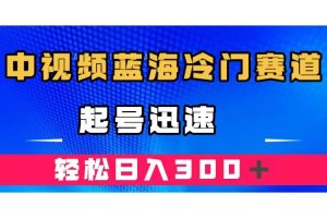中視頻藍(lán)海冷門賽道，韓國視頻奇聞解說，起號(hào)迅速，日入300＋