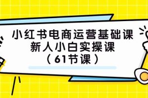 小紅書電商運營基礎(chǔ)課，新人小白實操課（61節(jié)課）