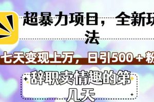 超暴利項目，全新玩法（辭職賣情趣的第幾天），七天變現上萬，日引500 粉