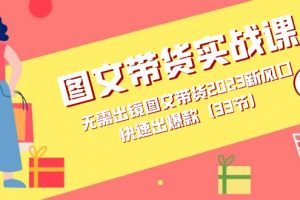 圖文帶貨實戰課：無需出鏡圖文帶貨2023新風口，快速出爆款（33節）