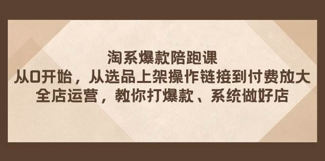 淘系爆款陪跑課 從選品上架操作鏈接到付費放大 全店運營 打爆款 系統做好店插圖