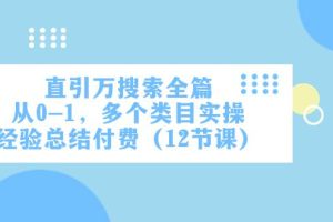 直引萬·搜索全篇，從0-1，多個類目實操經驗總結付費（12節課）
