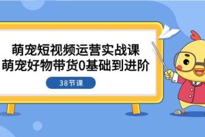 萌寵·短視頻運營實戰課：萌寵好物帶貨0基礎到進階（38節課）