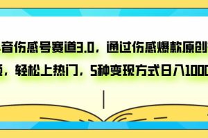 抖音傷感號賽道3.0，通過傷感爆款原創視頻，輕松上熱門，5種變現日入1000