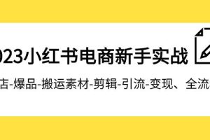 2023小紅書電商新手實戰課程，開店-爆品-搬運素材-剪輯-引流-變現、全流程
