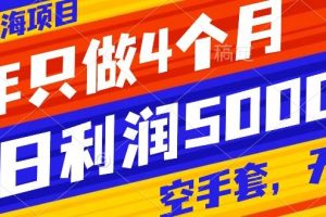 抖音藍(lán)海項(xiàng)目，一年只做4個(gè)月，空手套，無(wú)貨源，單日利潤(rùn)5000