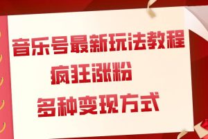 音樂號最新玩法教程，瘋狂漲粉，多種拓展變現方式（附保姆級教程 素材）