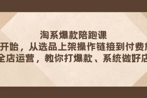 淘系爆款陪跑課 從選品上架操作鏈接到付費放大 全店運營 打爆款 系統做好店