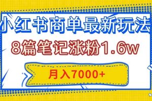小紅書(shū)商單最新玩法，8篇筆記漲粉1.6w，幾分鐘一個(gè)筆記，月入7000