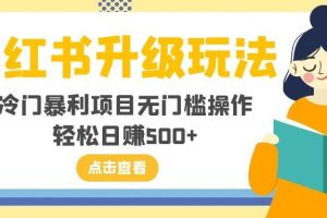 小紅書升級玩法，冷門暴利項目無門檻操作，輕松日賺500