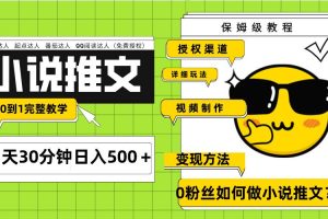 Ai小說推文每天20分鐘日入500＋授權(quán)渠道 引流變現(xiàn) 從0到1完整教學(xué)（7節(jié)課）