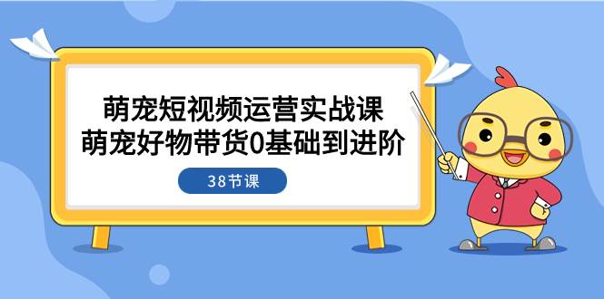 萌寵·短視頻運營實戰課：萌寵好物帶貨0基礎到進階（38節課）插圖